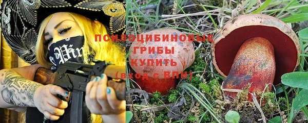 молекула духа Лагань