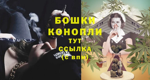 молекула духа Лагань