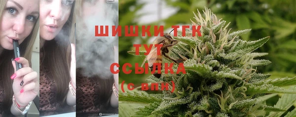 молекула духа Лагань