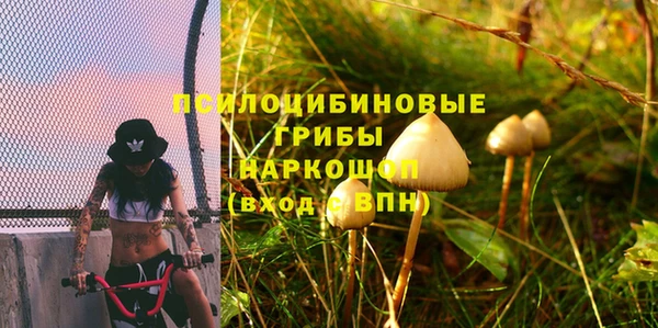 молекула духа Лагань