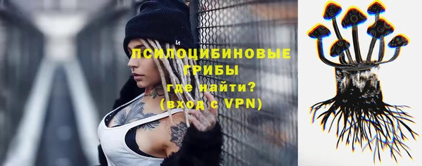 Альфа ПВП Ладушкин