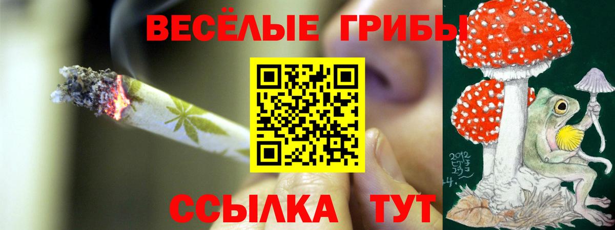 Находка  купить наркотики сайты  Псилоцибиновые грибы мицелий  Вход с VPN  Псилоцибиновые грибы MAGIC MUSHROOMS 